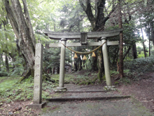 イヌシデの巨樹が茂る「八幡神社」