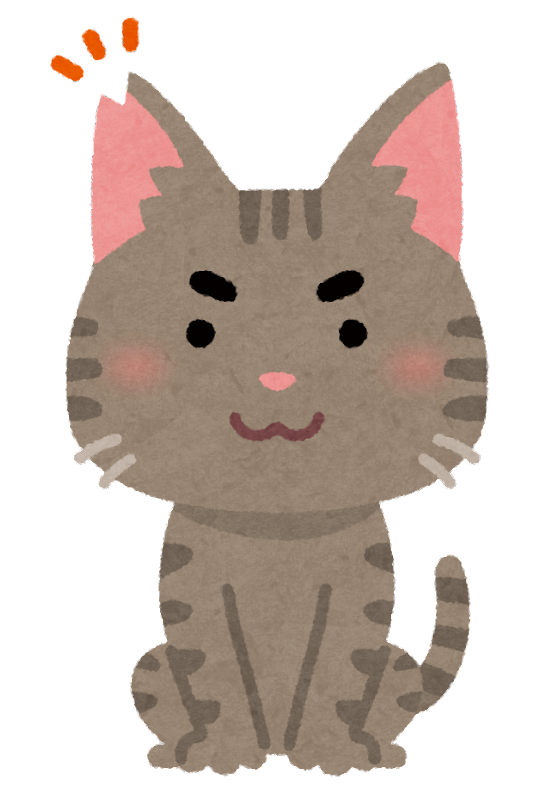 飼い主のいない猫の画像2