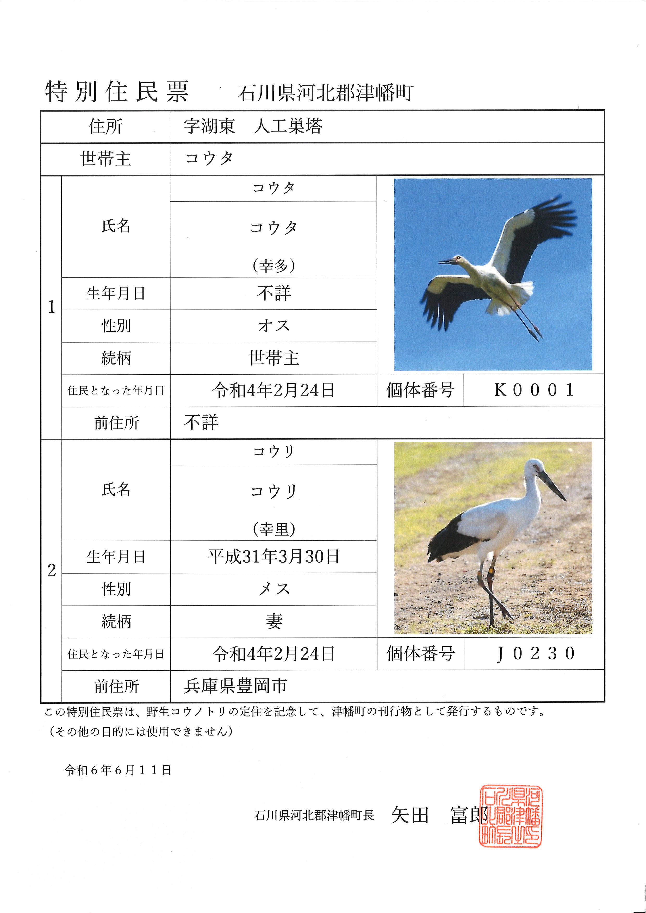 特別住民票の画像