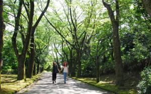 石川県森林公園の画像