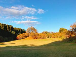 森林公園のみどりの広場の写真