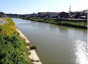 河川1