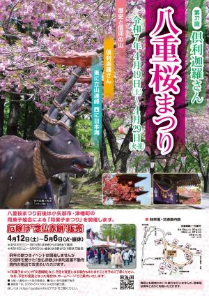 倶利迦羅さん八重桜まつり