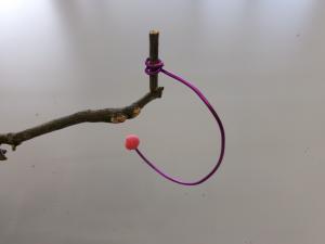 バランスバード2